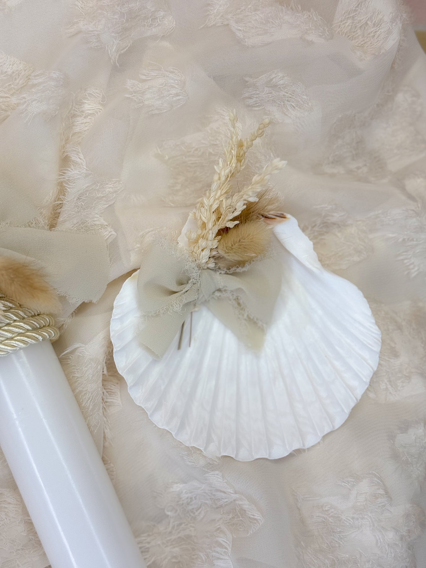 Conjunto vela e concha