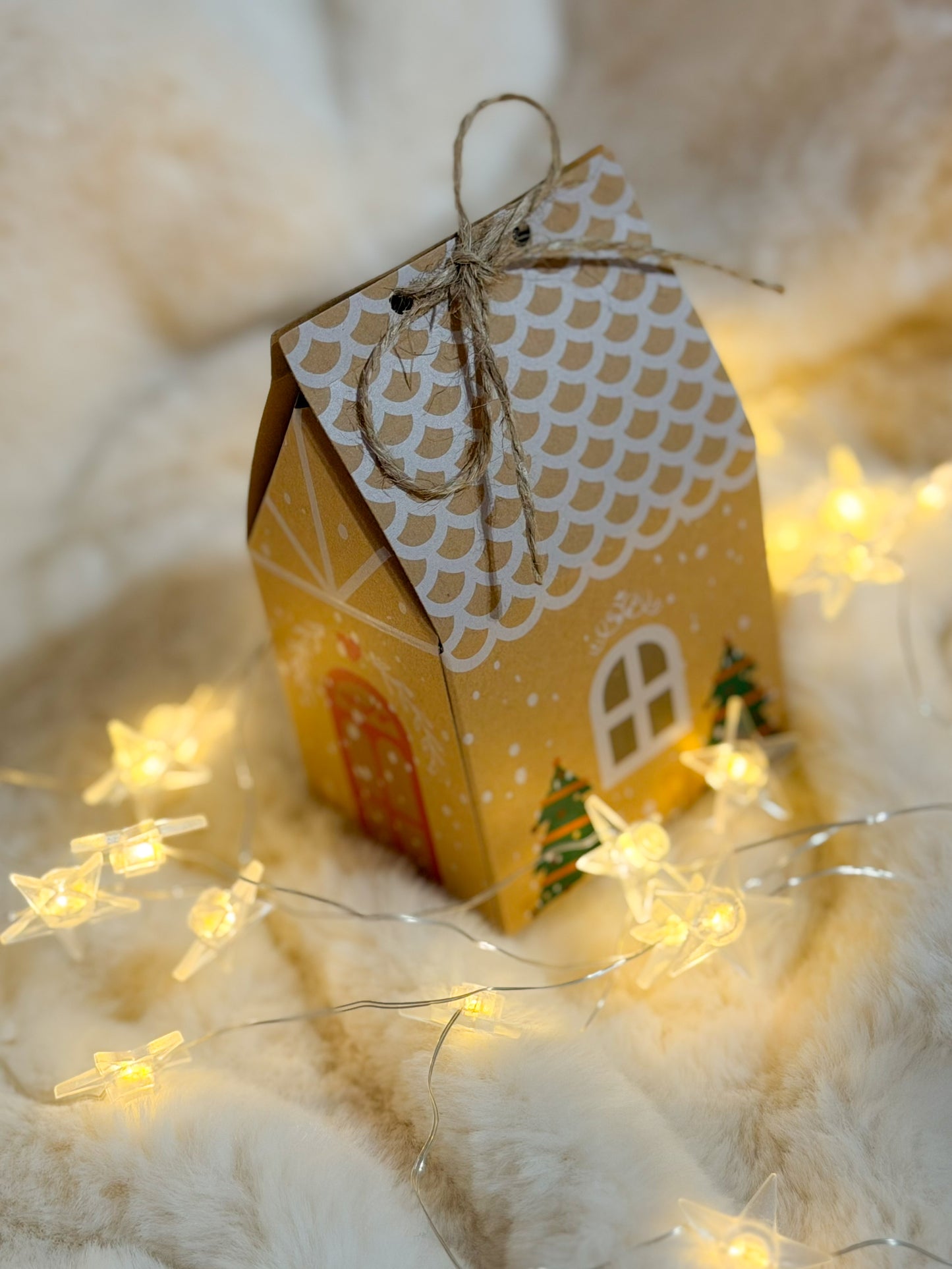 Caixa casa natal